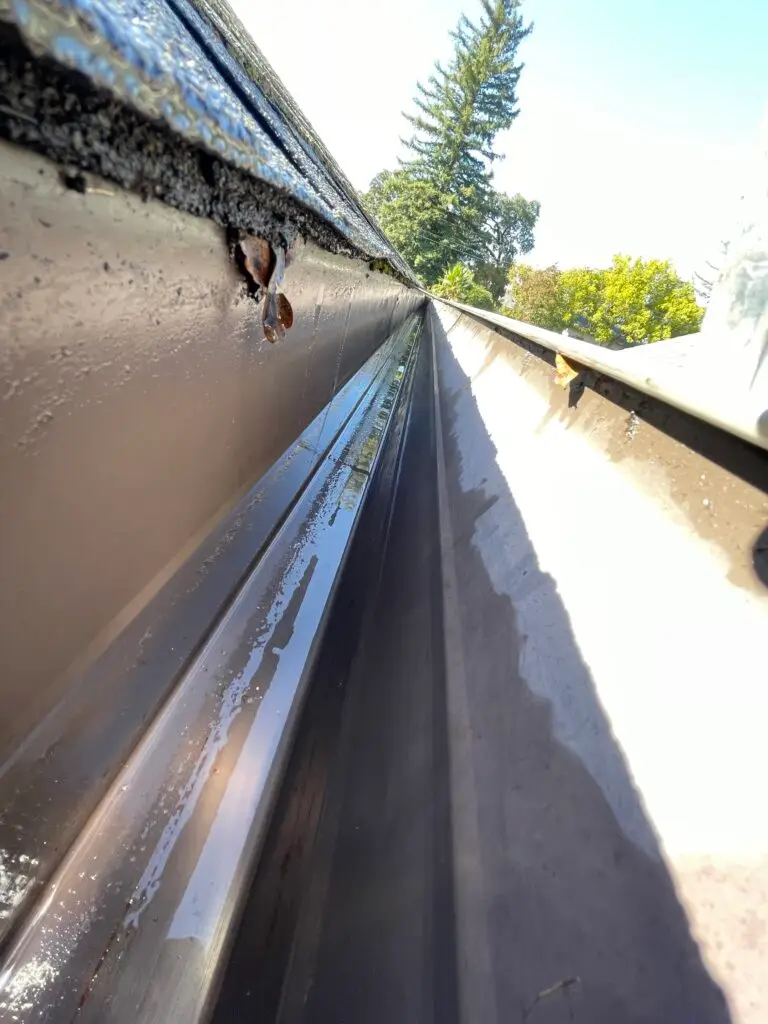 Gutter and Roof Cleaning Service in Greater Sacramento Area