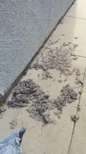 Dryer Vent Cleaning in Roseville — dryer maintenance