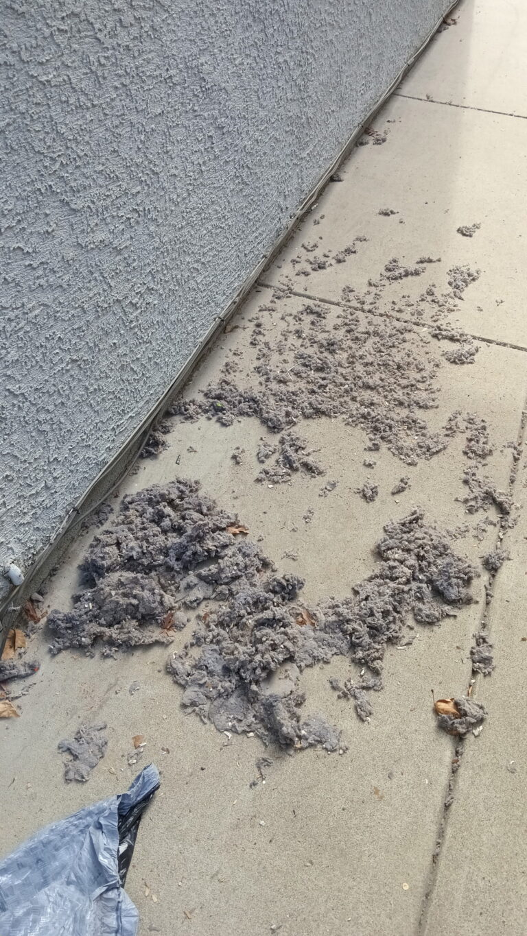 Dryer Vent Cleaning in Roseville — dryer maintenance